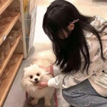 Bsport体育最新版